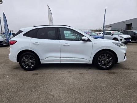 FORD Kuga 2.0 EcoBlue 150ch mHEV ST-Line à vendre à Dijon - Image n°4