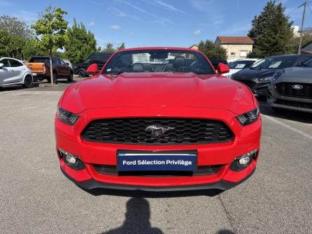 FORD Mustang Convertible 2.3 EcoBoost 317ch à vendre à Beaune - Image n°2