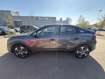 CITROEN C4 PureTech 130ch S&S Feel à vendre à Beaune - Image n°8