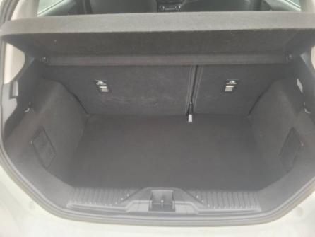 FORD Fiesta 1.0 Flexifuel 95ch Titanium Business 5p à vendre à Sens - Image n°5